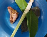 Foto langkah ke 1 dari resep Mangut Ikan Asap Pari.