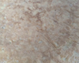 Foto del paso 4 de la receta: Tortilla de bolsa de papas con relleno