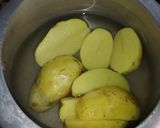 চীজ বল (cheese ball recipe in Bengali) রেসিপি ধাপ - 1 ছবি