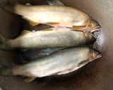 香煎香魚的食譜步驟1照片