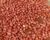 Hình bước làm 2 của món Lạc rang tỏi ớt