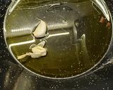 Foto del paso 3 de la receta: Gachas de Almortas
