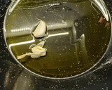 Foto del paso 3 de la receta: Gachas de Almortas