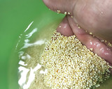 Foto del paso 1 de la receta: Ensalada de quinoa
