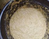 Fankematakin girki2 hoto