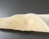 A picture of step 4 of How to Wrap Gyoza.