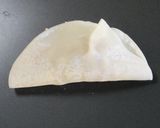A picture of step 5 of How to Wrap Gyoza.