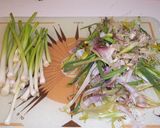 Foto del paso 4 de la receta Albóndigas de pescadilla