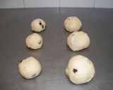 Foto del paso 11 de la receta: Pan de leche y pasas trenzado
