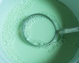 Foto langkah ke 3 dari resep Buko Pandan with Creamy Fla.
