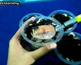 Foto langkah ke 4 dari resep 56. Setup Roti Tawar Oreo.