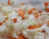 Foto langkah ke 3 dari resep Sauerkraut Kubis Wortel.