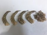 TRỨNG CUỘN CHẢ TÔM (blw)