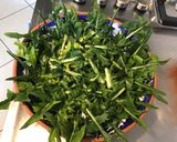 Une image de l'étape 8 de Salade de puntarelle carottes et citron.