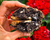 Foto del paso 3 de la receta: Cookies oreo