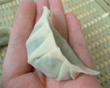 A picture of step 4 of Veggie-Packed Homemade Gyoza.