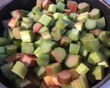 Une image de l'étape 4 de Compote de pommes et rhubarbe du jardin.