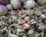 Foto langkah ke 1 dari resep Sambal hijau baby cumi.
