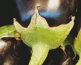 Φωτογραφία βήματος 1 της συνταγής Μουσακάς Vegan