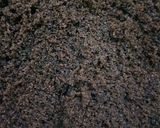 हॉट ब्राउनी विथ नट ड्रॉप (Hot Brownie With Nut Drop recipe in Hindi) रेसिपी चरण 6 फोटो