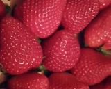 Une image de l'étape 1 de Confiture fraise basilic.