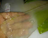 Foto del paso 6 de la receta: Aromática de Hierbas a lo Carmelita