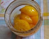 Foto del paso 6 de la receta: Manjar de quinotos (sin azúcar agregada)