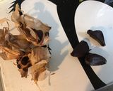 Une image de l'étape 4 de Salade de courgettes et concombre, jambon blanc, sucrine et ail noir.