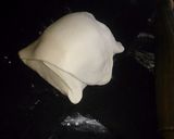 Foto del paso 5 de la receta: Masa hojaldre