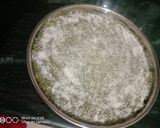 A picture of step 4 of Chane ki barfi.