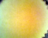 A picture of step 1 of Quiche Lorrine . with a twist ..
