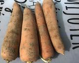 Une image de l'étape 12 de Sauté de sanglier aux pommes de terre et carottes.