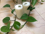 دوغ گازدار
