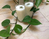 عکس مرحله 3 از دستور دوغ گازدار