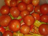 Deli salchichas