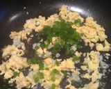 Foto del paso 5 de la receta: Chow fan