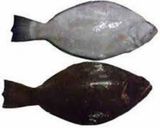 Foto langkah ke 8 dari resep Ikan Sambal Kasar.