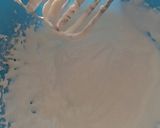 Foto del paso 8 de la receta: Bizcocho navideño de chocolate
