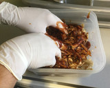 Foto del paso 4 de la receta: Empanada de pollo a la BBQ