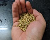 A picture of step 2 of Udupi Koddel (sambhar) masala.