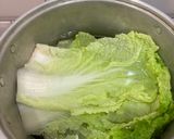 Foto langkah ke 3 dari resep Dimsum di bungkus sawi putih.