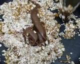 Oats, Jaggery and Nutella Lollipops. recipe step 3 photo