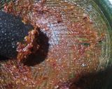 Foto del paso 11 de la receta: Tlayuda oaxaqueña