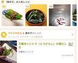 A picture of step 4 of Sautéed Shishito Peppers in Sesame Oil.