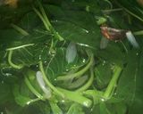 Foto langkah ke 7 dari resep Sayur bayam.