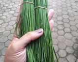 Foto langkah ke 1 dari resep Tumis Daun Kucai.