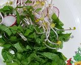 Foto del paso 2 de la receta: Ensalada "evolución del rabanito"