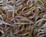 Foto langkah ke 1 dari resep Cah Tauge.