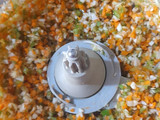 Gluten free Jowar Vegetable Paratha