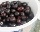 Фото кроку 1 до Соус Ткемали из алычи на зиму.